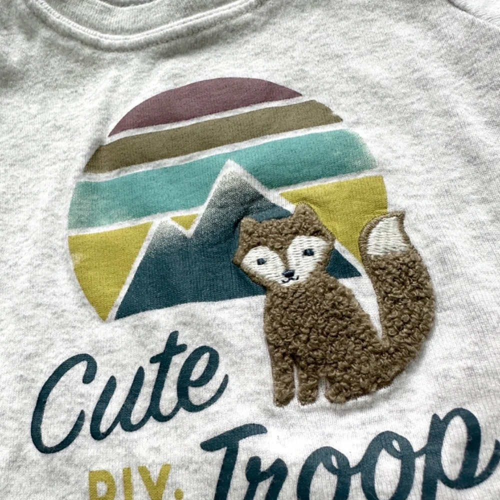 3 Piece Baby Boy Matching Set 3M Sweat Set & Onesie Blue Gray Fox